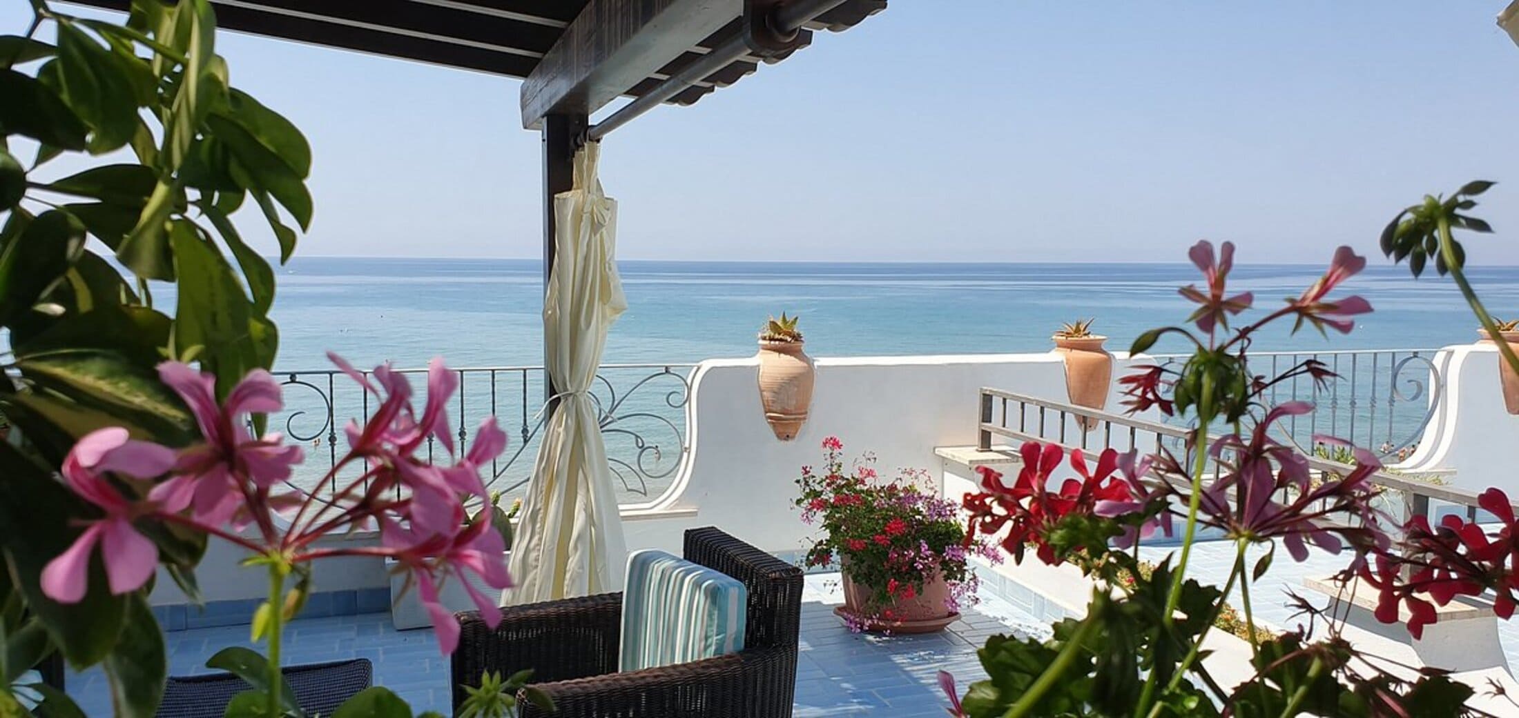 Rose di Mare